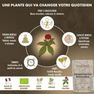 Ashwagandha Biologique KSM-66® – Stress, Sommeil & Vitalité – 90 gélules - Image 3