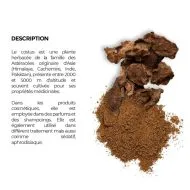 Costus Indien – Racine Naturelle en Poudre – Santé & Bien-être – 100 g - Image 2